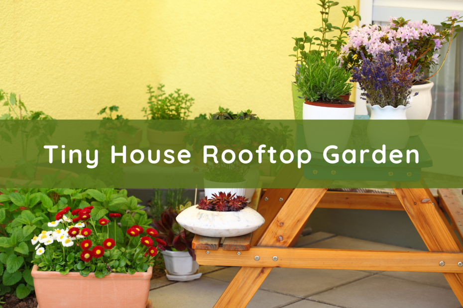 Tiny House Rooftop Gardens Explained